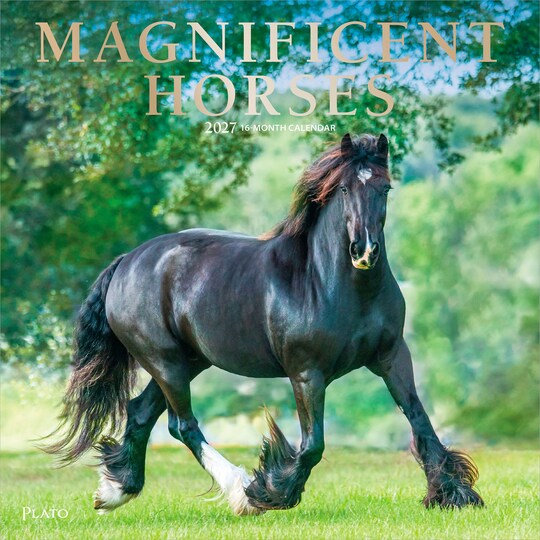 Plato; Magnificent Horses | 2027 12 x 24 Inch (Hanging) Monthly Square Wall Calendar | Foil Stamped Cover; Category:Wall Calendars; Image:1